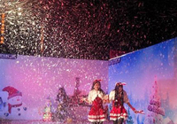 Machine à neige de scène pour effets spéciaux professionnels, générateur de neige artificielle d'extérieur pour spectacles de Noël, mariages, fêtes à thème
