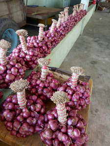หอมแดงแช่แข็งของเวียดนาม | เทคโนโลยี iqf | บรรจุภัณฑ์จำนวนมาก - Product Image 4