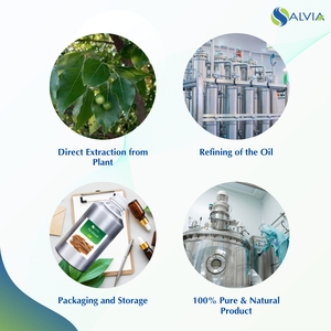 Huile de bois Ho 100% pur et naturel en gros en vrac prix le plus bas emballage personnalisé - Product Image 4