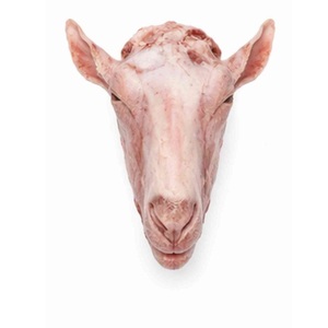 Têtes de chèvre congelées entières et morceaux de viande de chèvre halal, fournisseur mondial d'exportation - Product Image 1