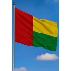 Drapeau de Guinée en soie personnalisé 3x5 pieds avec mât en aluminium - Impression numérique - Product Image 3