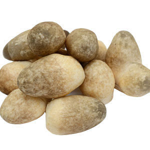 เห็ดแห้งเห็ดปลวกเห็ดแห้งมุมผู้ผลิต - Product Image 1