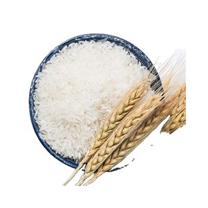 RIZ BASMATI À GRAINS LONGS DE HAUTE QUALITÉ POUR LA CUISINE - Product Image 6