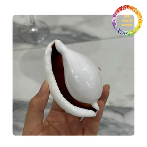 Conchas de cauri blancas | Precio a granel para diseñadores de joyas y amantes de la decoración | Venta caliente de conchas marinas 2025 - Product Image 5