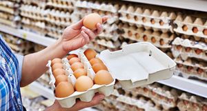 Huevos Frescos de Gallina de Granja, Marrones y Blancos, Orgánicos, de Alta Calidad, Ricos en Proteínas, Huevos para Incubar, Larga Vida Útil, 60g - Product Image 6