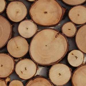 DISPONIBLE Panel redondo de madera Material ecológico Ideal para proteger las superficies de los muebles del calor frío líquido Vietnam - Product Image 2