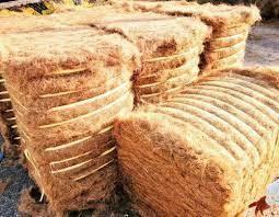 BulkCoco a granel fibra blanca de coco - Product Image 6