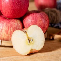 Verse Golden Delicious Appels Biologisch AA Kwaliteit Bulk Levering met Aangepaste Verpakking