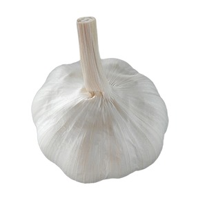 Ail blanc frais de qualité supérieure 6.0cm AUTRICHE Ail blanc pur en gros Achetez maintenant avec livraison rapide - Product Image 6