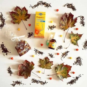 Líquido Oral Herbal Italiano de Alta Calidad, Botella de 20 ml con Propóleo para una Respiración Clara y Bienestar Natural - Product Image 4