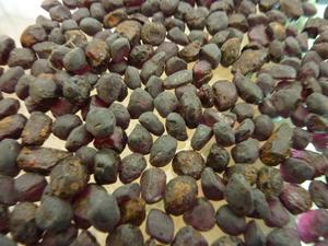 Grenat naturel brut non coupé pierres précieuses en vrac couleur pourpre en gros d'origine - Product Image 6