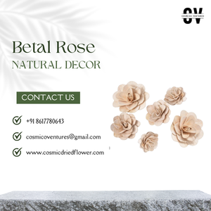 Fleur de bétel rose séchée de haute qualité, écologique et naturelle, de la marque Cosmic, pour l'artisanat DIY, l'art en résine, la décoration de la fête des pères et d'Halloween - Product Image 3