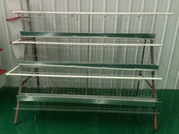 Nouveau système de cage à batterie à 4 niveaux, équipement automatique pour cages à poulets, gain de place pour l'élevage avicole à grande échelle