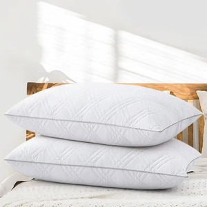 Oreillers d'hôtel en vrac du Pakistan avec la personnalisation et quantité minimale de commande d'ODM d'OEM de matériel lavable doux pour les distributeurs internationaux - Product Image 6