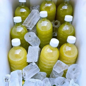 Jugo de Caña de Azúcar Congelado Naturalmente Dulce, Ideal para Tiendas de Smoothies y Productos Listos para Beber - Product Image 3