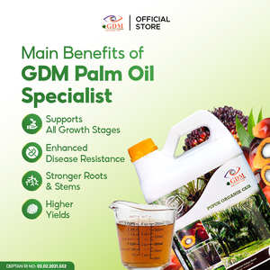Fertilizante Líquido Orgánico GDM Premium para la Agricultura del Aceite de Palma, Revitalización del Suelo y Mayor Rendimiento de Cosecha en Asia - Product Image 4