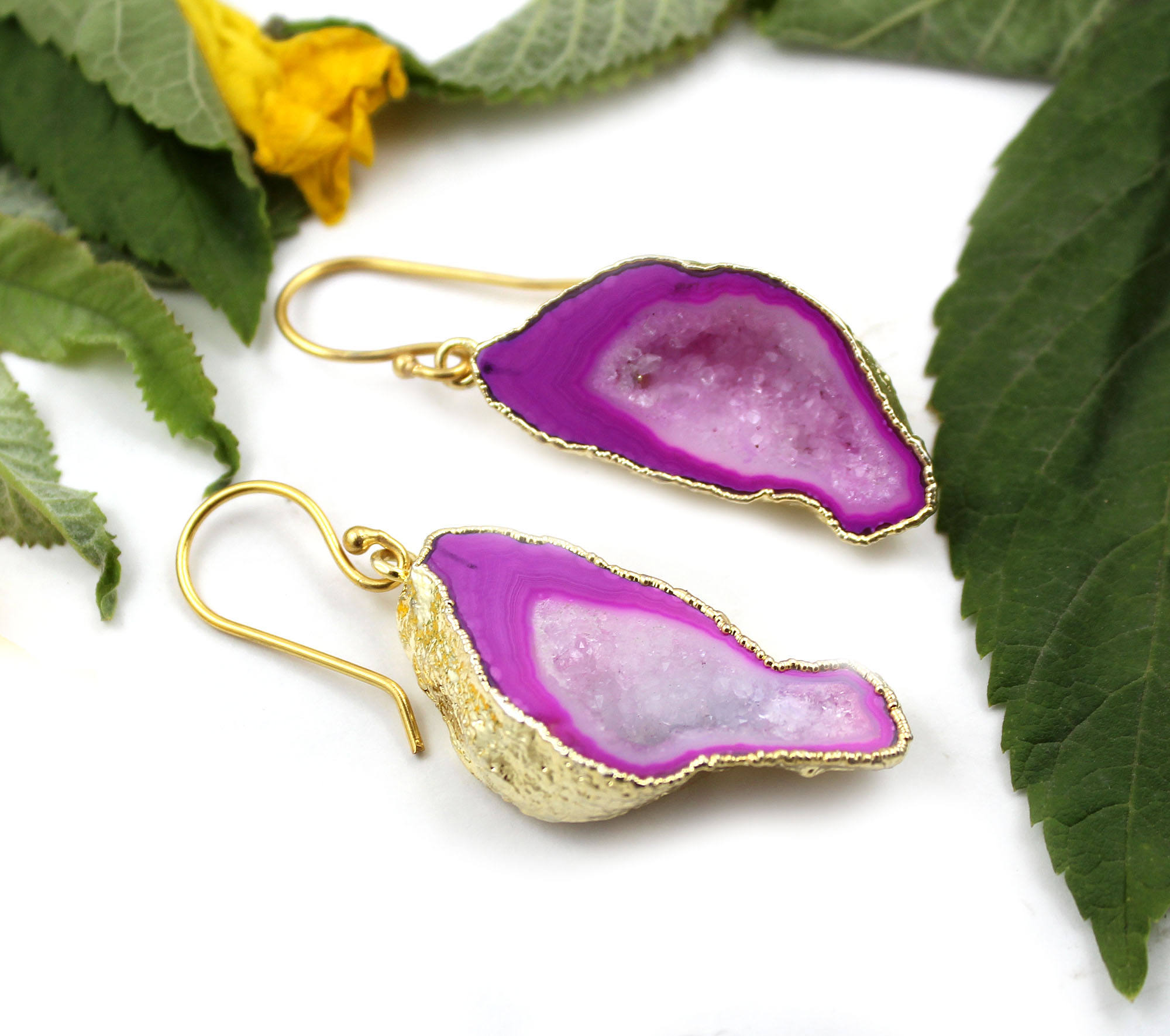 จีโอดดรูซี่