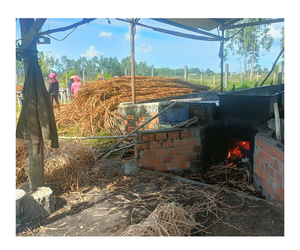 Modèle populaire canne sangle rotin Peel rotin noyau carré tricot rotin avec haute qualité à partir de 99 données d'or - Product Image 1