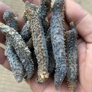 CONCOMBRE DE MER SÉCHÉ VIETNAMIEN DE QUALITÉ SUPÉRIEURE pour UNE CUISINE SAINE et FRUITS DE MER PREMIUM pour PLATS/LINA - Product Image 1