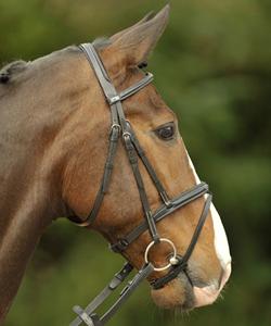 Bridon sans mors SidePull en cuir véritable de haute qualité, noir, taille et logo personnalisables, bridon pour cheval - Product Image 2