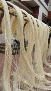 หวายธรรมชาติคุณภาพสูง EUTECH EUR06 จากเวียดนาม แกนหวายกลมสำหรับเฟอร์นิเจอร์และการเกษตร ส่งตรงจากเวียดนาม - Product Image 6