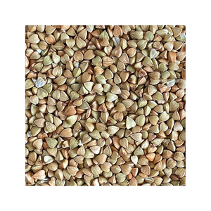 Granos de trigo natural a granel disponibles al mejor precio - Product Image 6