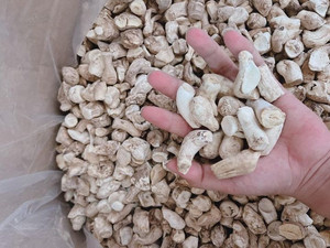 Vente en gros de champignons Shiitake séchés naturels purs Akina - Product Image 3