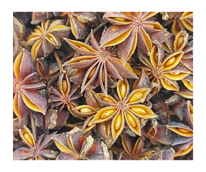 Especias de anís estrellado de alta calidad a base de hierbas para cocinar disponible a precio mayorista para exportación - Product Image 6