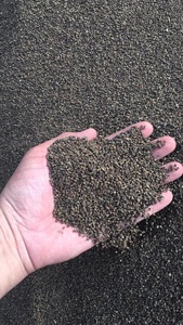 Pimienta negra con cabeza de alfiler de Vietnam 1mm/1,5mm/2mm/2,5mm-Sabor picante caliente, calidad superior, estándar de exportación - Product Image 2