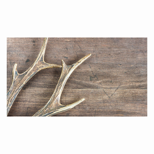 Bois de cerf rouge naturel à vendre en gros, provenance éthique et haute qualité - Product Image 5