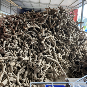 Mâcheurs en bois de café longue durée pour une mastication saine - Product Image 6