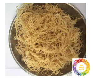 Océan-Mousse de mer séchée fraîche Vietnam Sauvage violet jaune brun Eucheuma Cottonii Offre compétitive Mousse de mer séchée végétalienne en vrac - Product Image 2