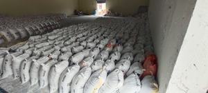 Polvo de feldespato Na2O de ceniza de soda de primera calidad para Cerámica y Vidrio a precio mayorista de La India - Product Image 5