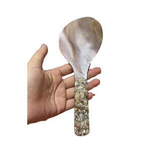 Vaisselle de luxe, cuillère en nacre naturelle, coquille de conque, 16 cm, cuillère à caviar en nacre, cuillères à mélanger, cuillère à café, artisanat, dessert, café - Product Image 2