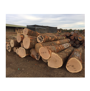 Venta al por Mayor de Troncos de Roble Blanco Alemán de la Mejor Calidad, Diámetro 70 mm, Humedad 10%, Producción de Madera Optimizada para Corte de Chapa, Exportación Global - Product Image 1