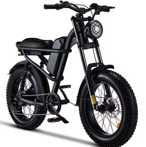 Nouveau Vélo Électrique Tout-Terrain Fat Tire 48V 1000W avec Batterie Intégrée et Moteur Arrière 15AH - Product Image 1
