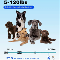 Anpassbares Design Modisches Sensitives Hundetrainingshalsband mit Ton, Vibration und Sicheren Schockmodi zur Verhaltenskorrektur