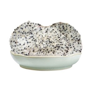 แก้วพิทยาที่อบแห้งด้วยน้ำจากเวียดนามผลไม้มังกรแดงในแพ็คสุญญากาศผลไม้แห้งผลไม้ฝานเป็นชิ้น - Product Image 1