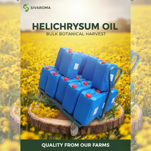 น้ำมันสกัด Helichrysum เกรดพรีเมี่ยม (น้ำมันหอมระเหยบริสุทธิ์100%) สำหรับผู้ซื้อ B2B-OEM/ODM/Private LABEL การจัดหาจำนวนมาก - Product Image 6