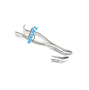 Pince d'extraction d'instruments dentaires en acier inoxydable de haute qualité pour molaires supérieures de chaque côté - Product Image 4