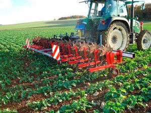 Machines agricoles montées sur tracteur Sous-soleuse Ripper 7 Shank Chisel Plough à vendre - Product Image 5