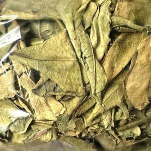 Feuilles de pomelo séchées en gros du Vietnam, arôme frais, naturel, boisson saine et usage culinaire, Mme Sophie - Product Image 3