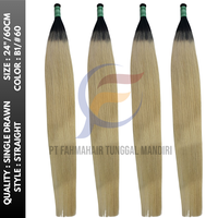 Kedatangan Baru Rambut Manusia Remy 100% untuk Ekstensi Micro-Link, Kualitas Tinggi, Warna Sesuai Pesanan, Kutikula Tertata Rapi