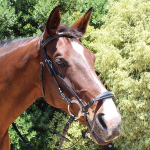 Brida de caballo de cuero genuino de alta calidad Brida de caballo de cuero genuino Brida de caballo de cuero real de alta calidad personalizada - Product Image 5