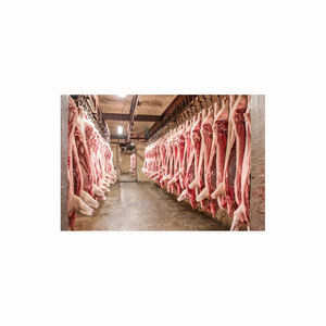 Viande de Porc Congelée de Haute Qualité, Caisse de Porc Découpée en 6 Parties, Origine Allemagne, Emballage Sous Vide, Sans Transgras, Faible Teneur en Sel - Product Image 2