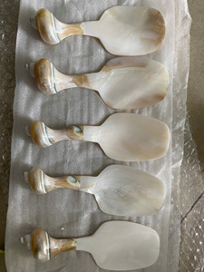 Bougie coquillage sculptée à la main écologique cuillère du désert technique polie directe du Vietnam grossiste - Product Image 6