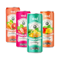 Kombucha Witte Thee & Tropische Mix Vinut 250Ml Blikje Sap Drink-Oem Odm Aanpasbare Groothandelsprijs Gratis Monster Beschikbaar
