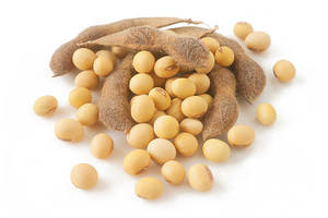 Soja sans OGM qualité 1 soja pas cher soja en gros à vendre - Product Image 5
