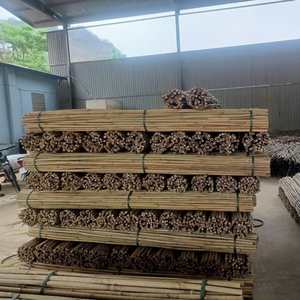 Palos de soporte de plantas de bambú de alta calidad para uso agrícola hechos de materias primas de Bambú - Product Image 2