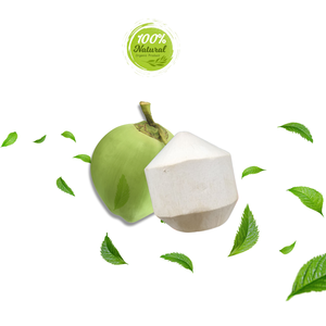 Vietnam Diamond Peeled Coconut Establece Presencia Global en Productos Agrícolas - Product Image 3